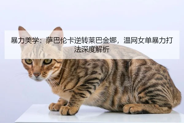 暴力美学：萨巴伦卡逆转莱巴金娜，温网女单暴力打法深度解析
